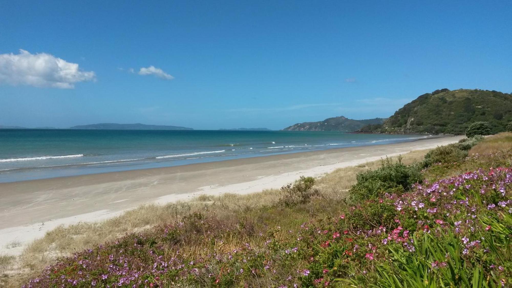Waimaire Matarangi Bed & Breakfast Luaran gambar